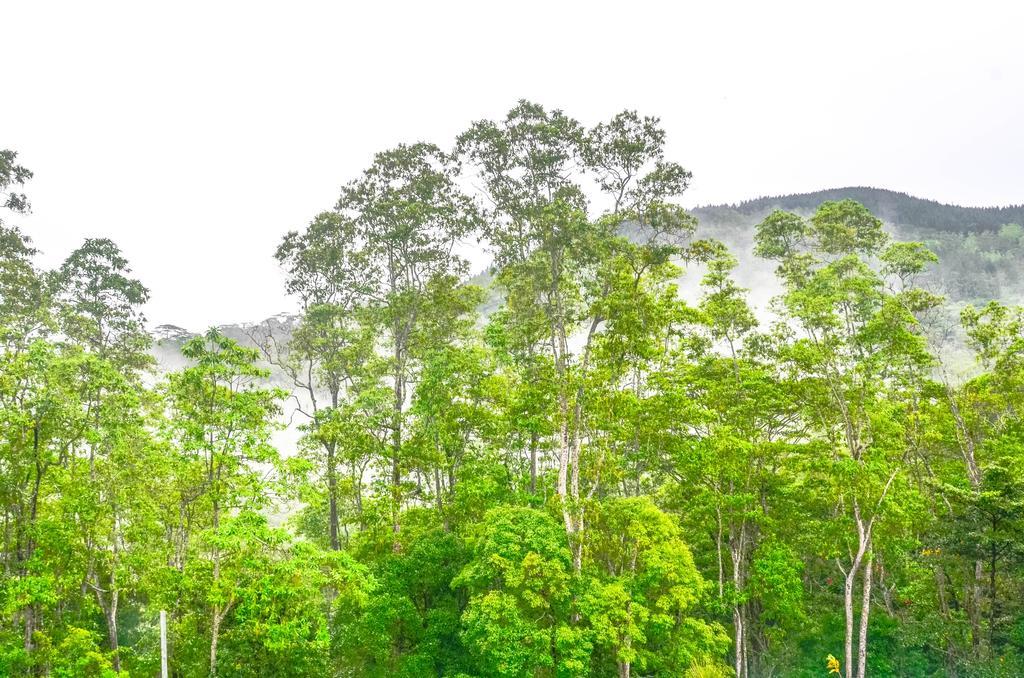 Hanthana Holiday Rooms Kandy Exterior foto